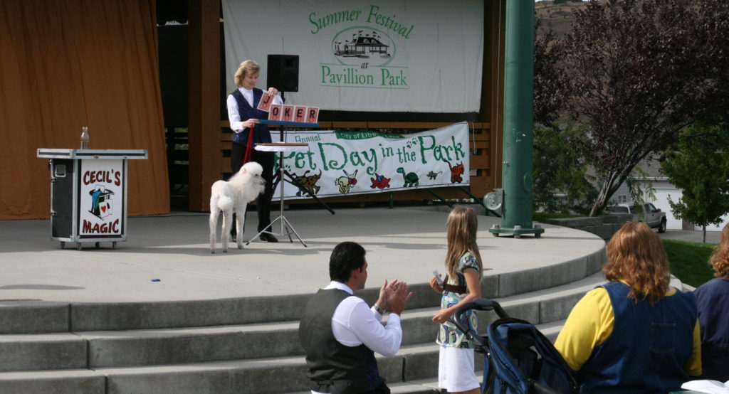 Card trick with Ivory the Magic Poodle